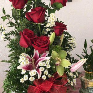 Meet your Posher, Ruth